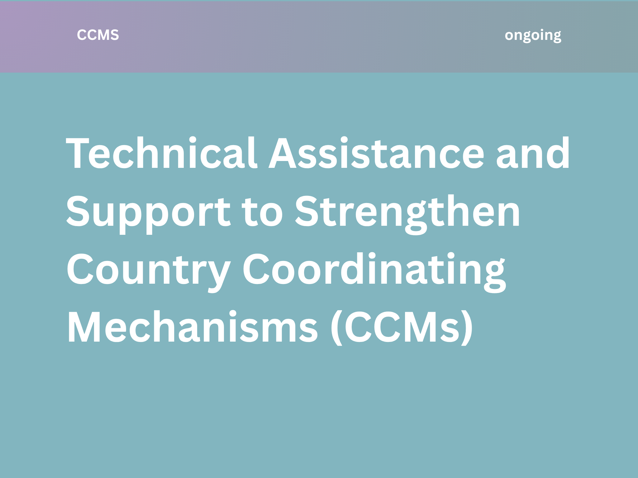Technical Assistance and Support to Strengthen Country Coordinating Mechanisms (CCMs)